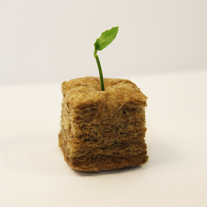 1.5" Grow Cubes