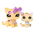 2 Pcs cat Pack