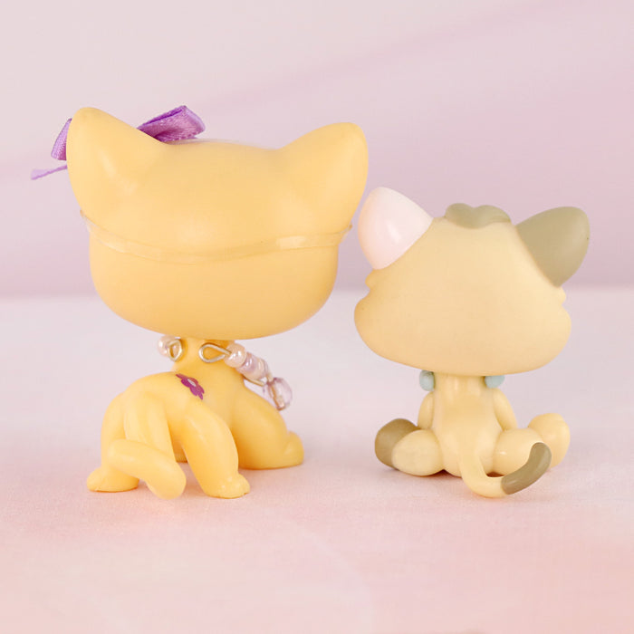 2 Pcs cat Pack