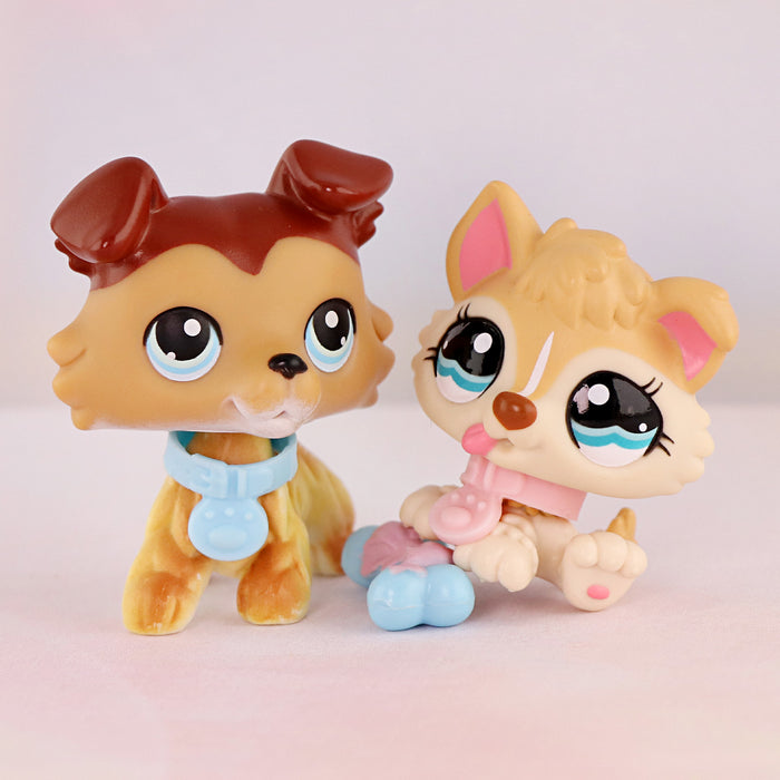 2 Pcs dog Pack