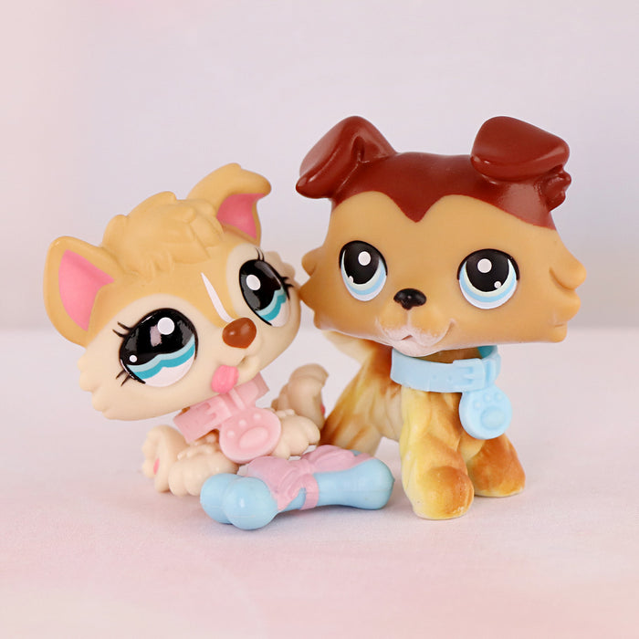 2 Pcs dog Pack