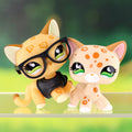 2 pcs mini shorthair cats