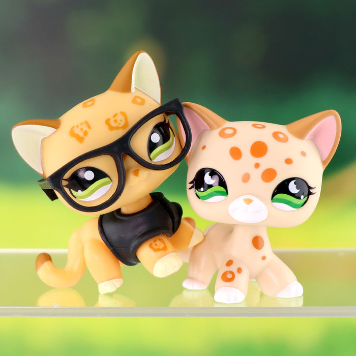 2 pcs mini shorthair cats