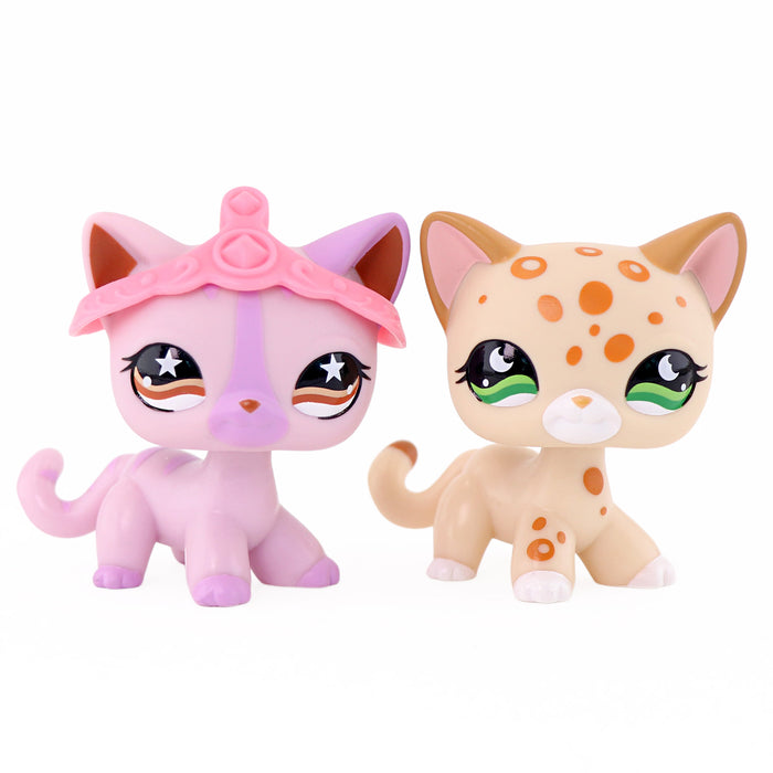 2 pcs mini shorthair cats