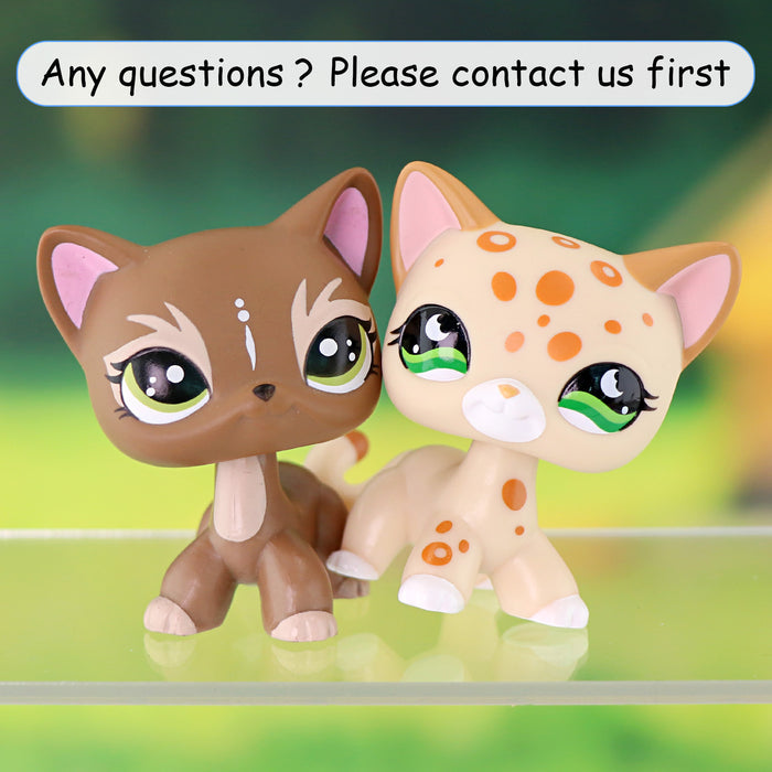 2 pcs mini shorthair cats
