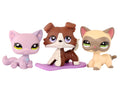 3 PC Lps Pets