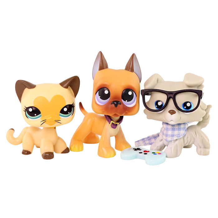 3 Pcs cat and dog Pack