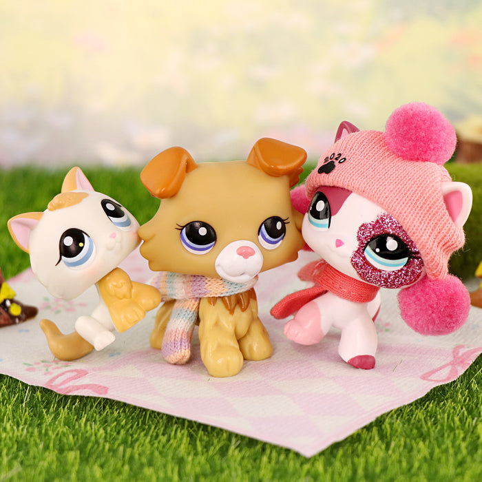 3 Pcs cat and dog Pack