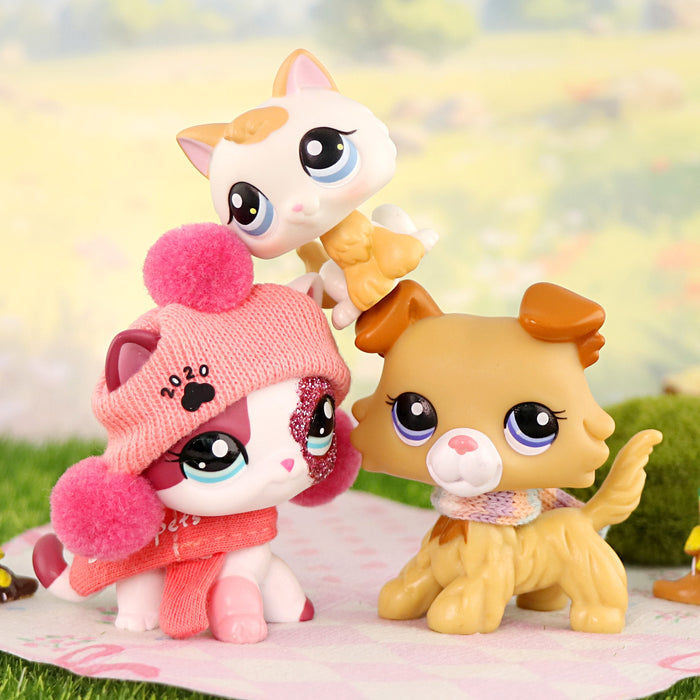 3 Pcs cat and dog Pack