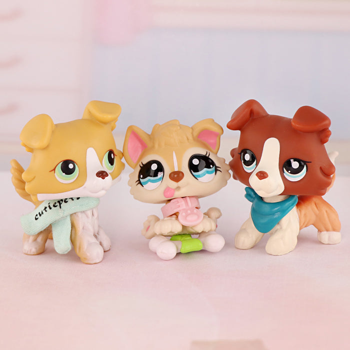 3 Pcs cat and dog Pack