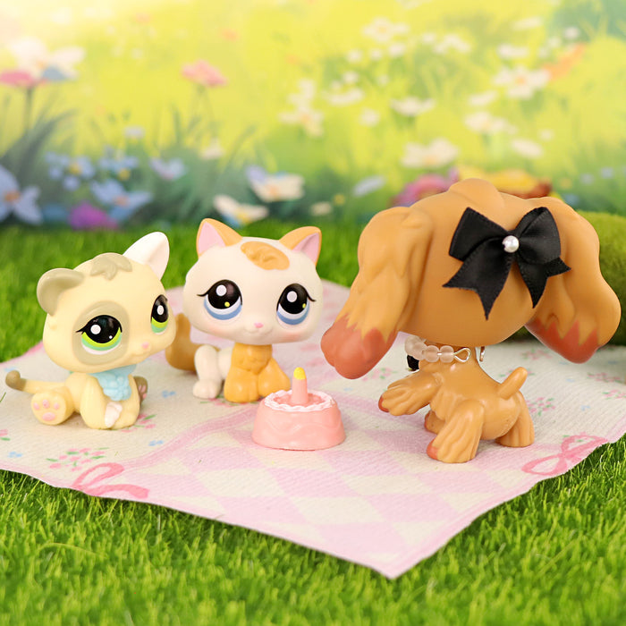 3 Pcs cat and dog Pack