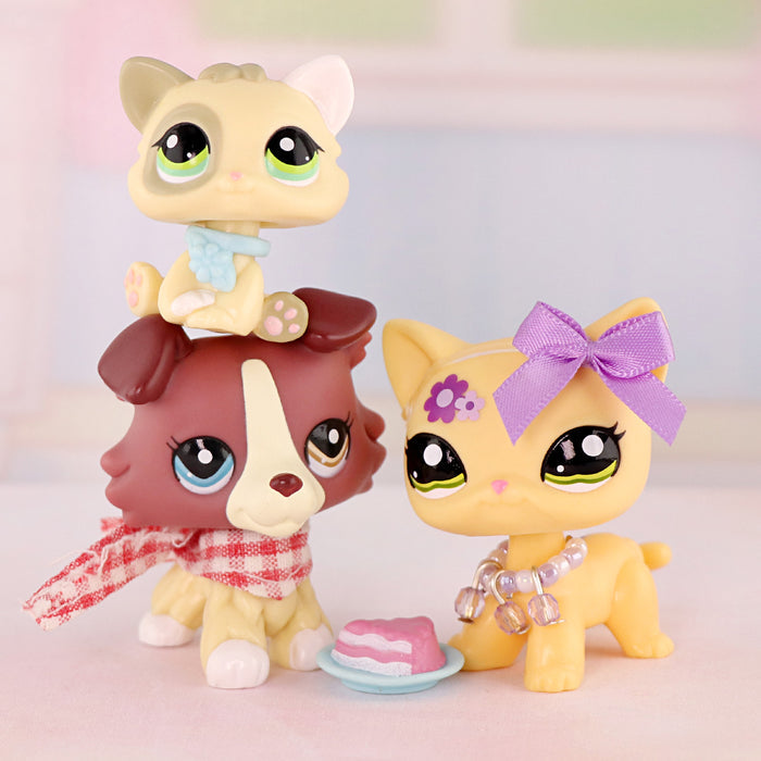 3 Pcs cat and dog Pack