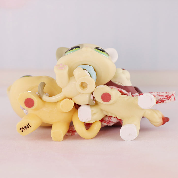 3 Pcs cat and dog Pack