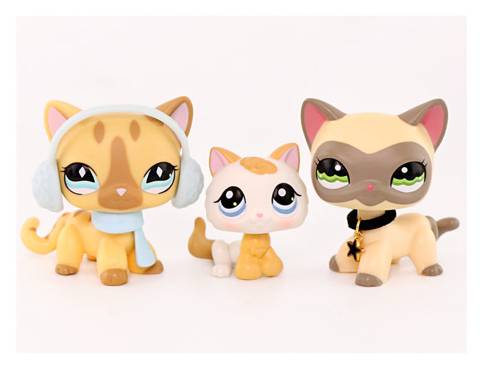 3 Pcs Cat Pack