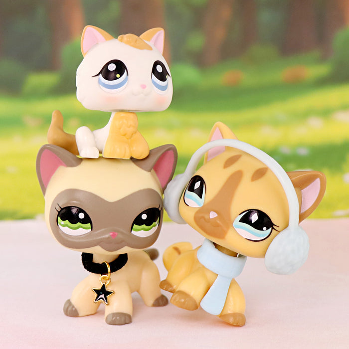 3 Pcs Cat Pack