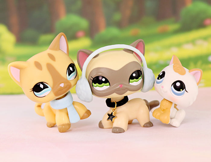 3 Pcs Cat Pack