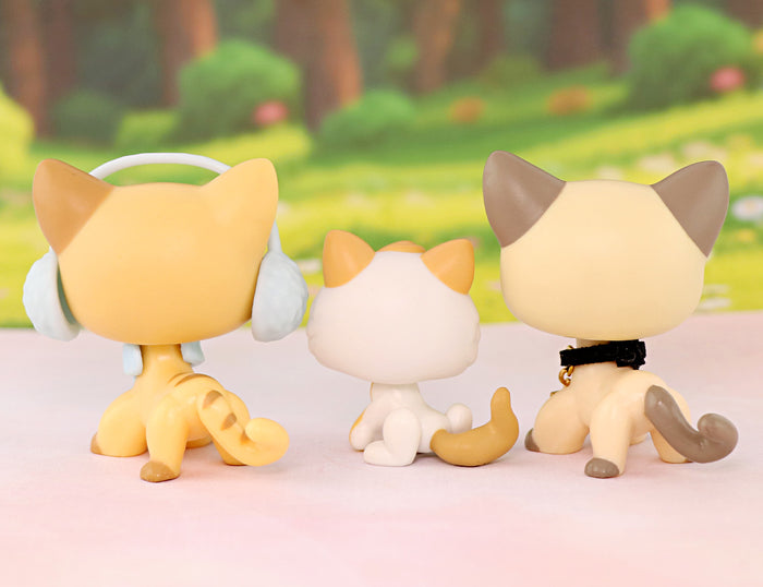 3 Pcs Cat Pack