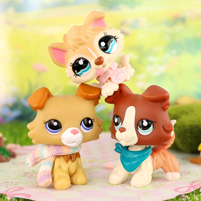 3 Pcs mini cat and dog Pack