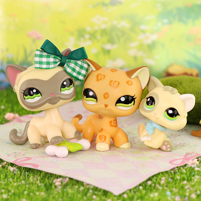 3 Pcs mini cat and dog Pack