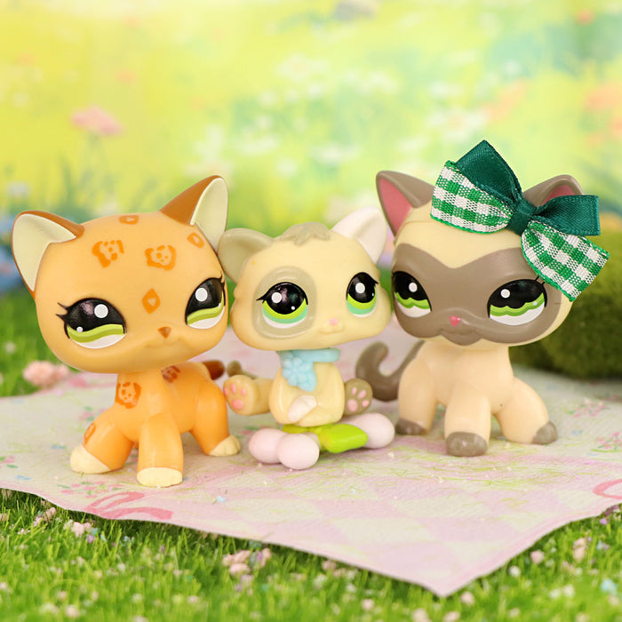 3 Pcs mini cat and dog Pack