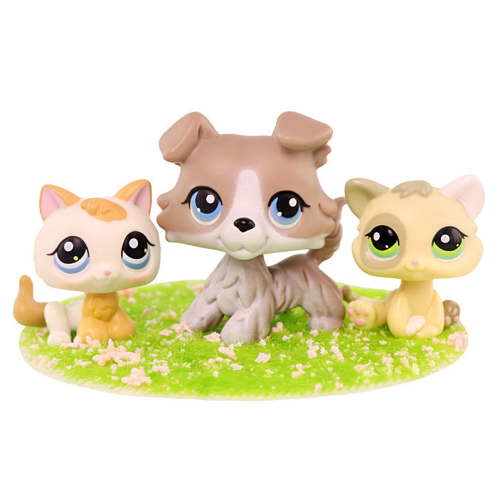 3 Pcs mini cat and dog Pack
