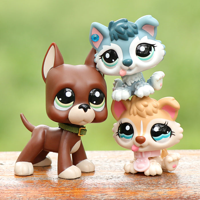 3 Pcs mini dog Pack