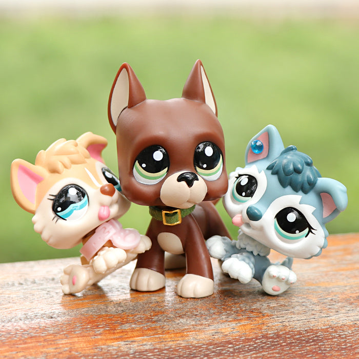 3 Pcs mini dog Pack