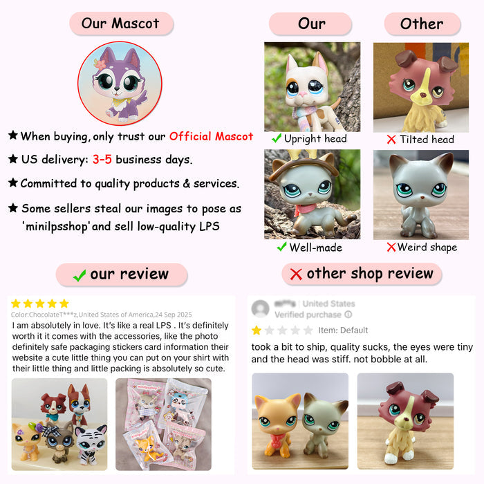 3 Pcs mini dog Pack