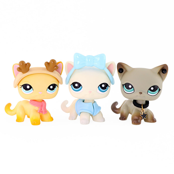 3 pcs mini shorthair cats