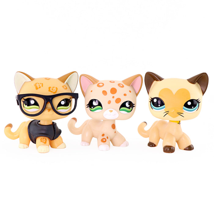3 pcs mini shorthair cats