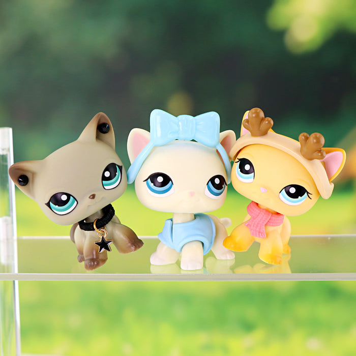 3 pcs mini shorthair cats