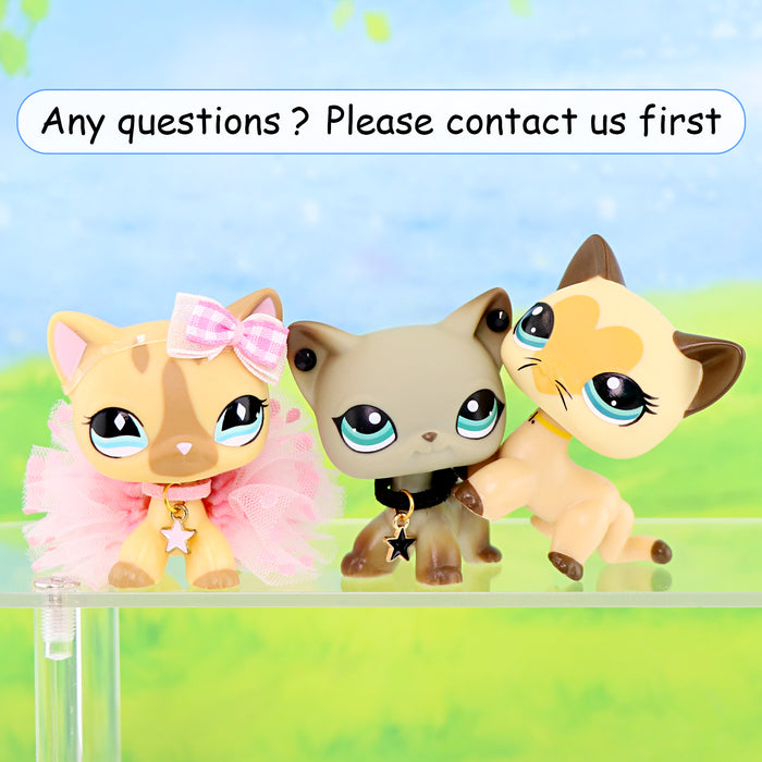 3 pcs mini shorthair cats