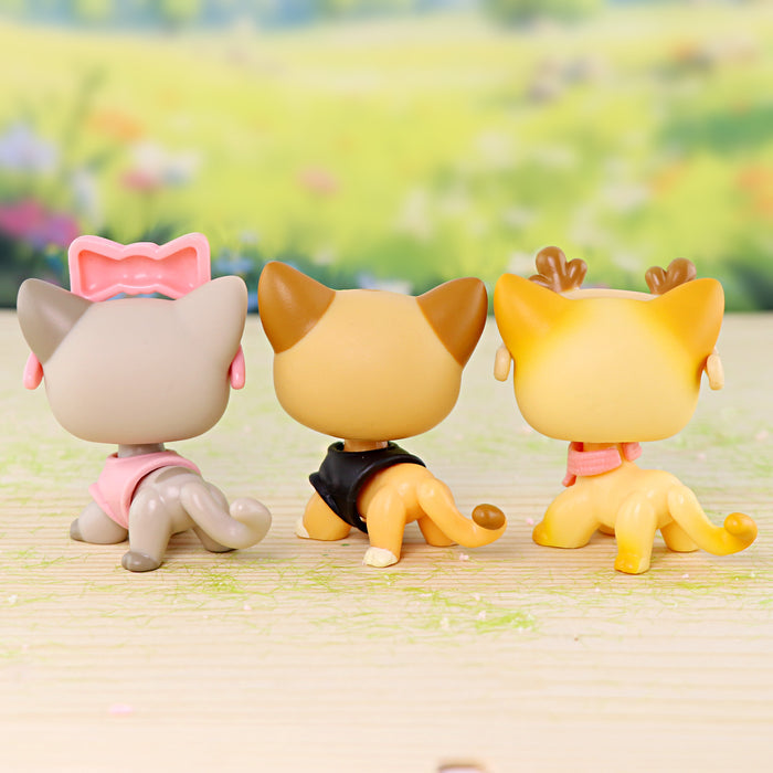 3 pcs mini shorthair cats