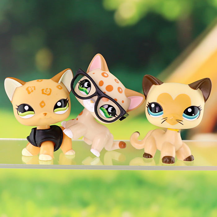 3 pcs mini shorthair cats