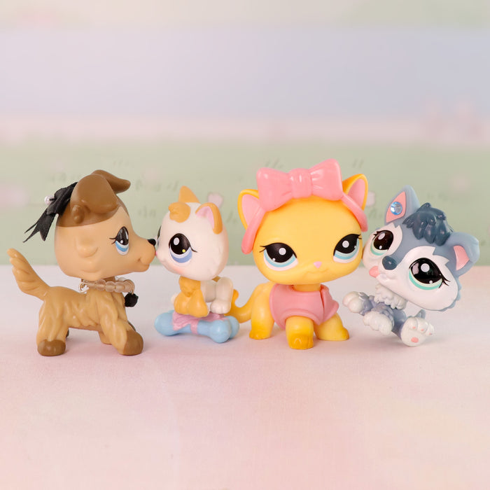 4 Pcs cat and dog Pack