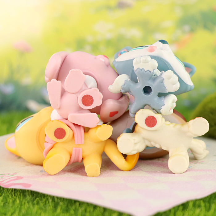 4 Pcs cat and dog Pack