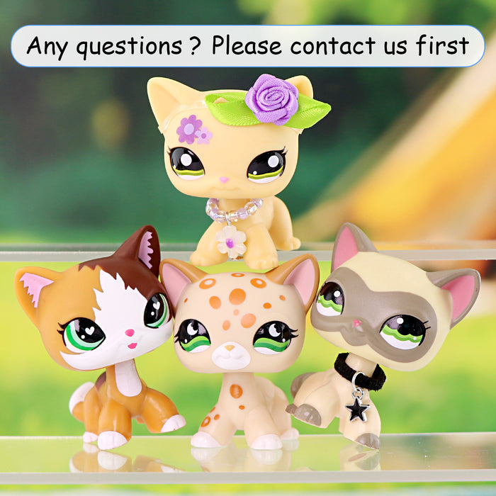 4 pcs mini shorthair cats