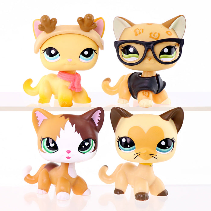 4 pcs shorthair cats