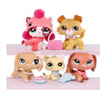 5 Pcs cat and dog Pack