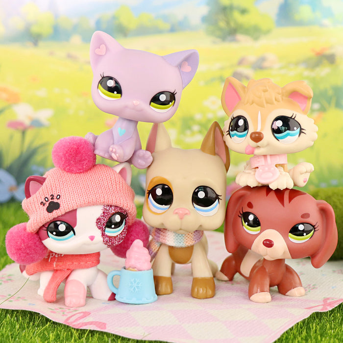 5 Pcs cat and dog Pack