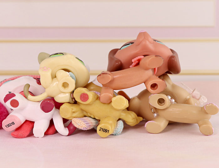 5 Pcs cat and dog Pack