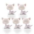 5 Pcs custom white base shorthair cat pack