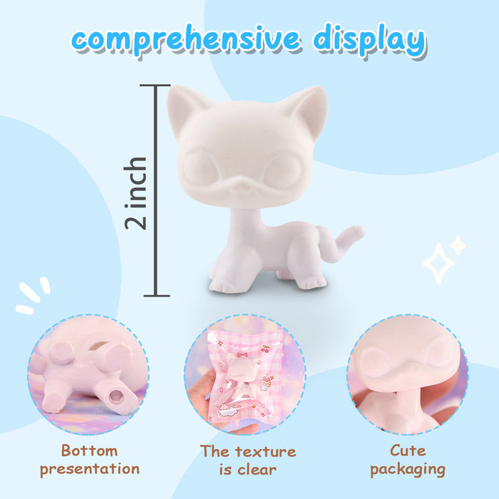 5 Pcs custom white base shorthair cat pack
