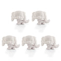 5 Pcs lps king spaniel white base pack