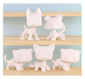 5 Pcs lps white blank base lot
