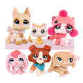 6 Pcs cat and dog Pack