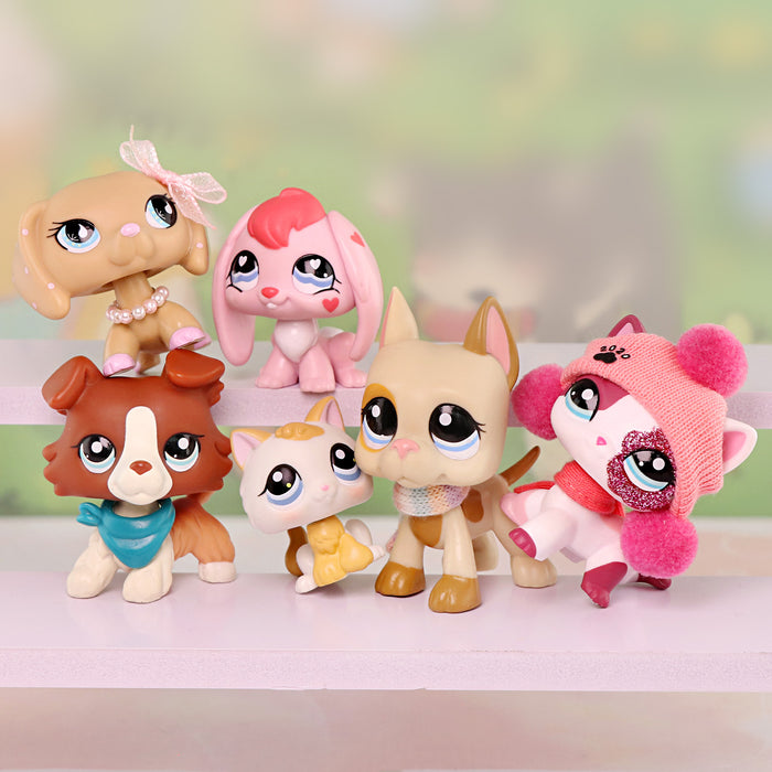 6 Pcs cat and dog Pack