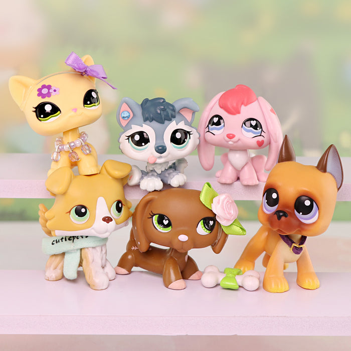 6 Pcs cat and dog Pack