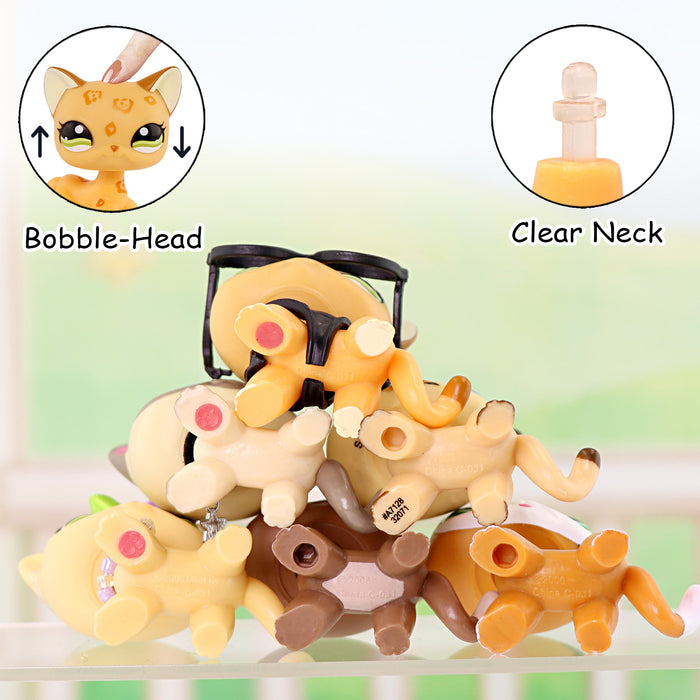 6 pcs mini shorthair cats