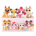 8 Pcs cat and dog Pack